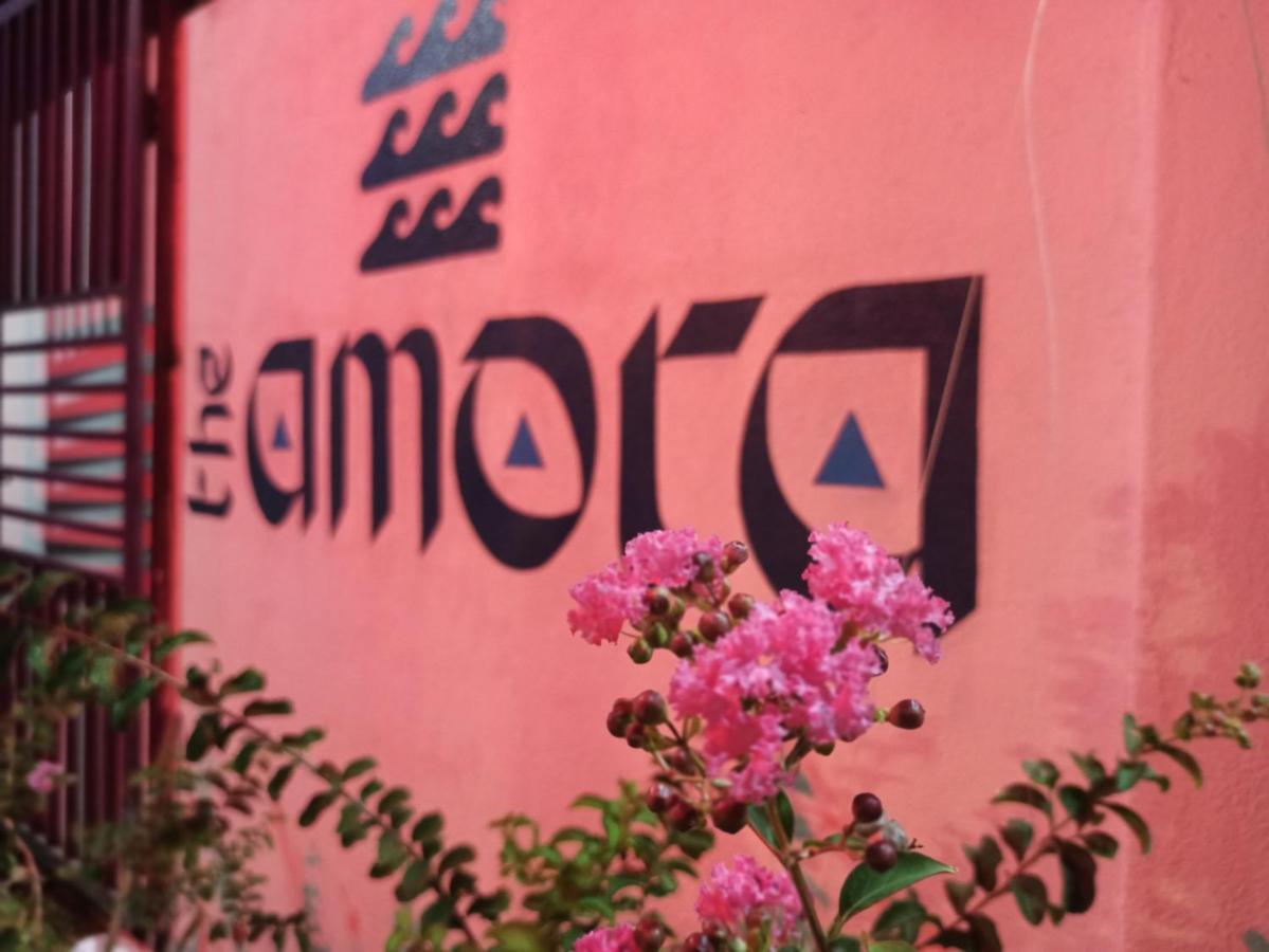 ארוגם The Amora מראה חיצוני תמונה